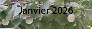 janvier-2026